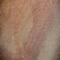 Sandstone